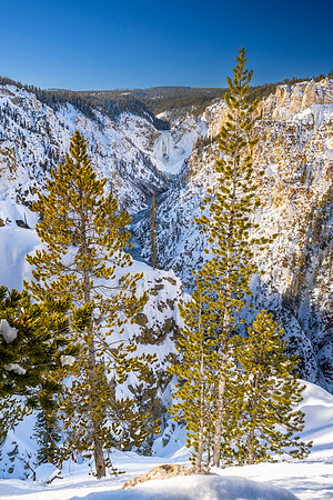 YELLOWSTONE IN WINTER