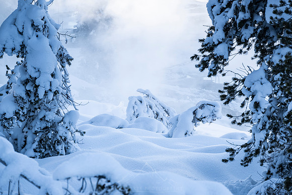 YELLOWSTONE IN WINTER