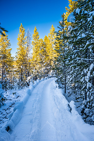 LOWER GEYSER BASIN TRAILS