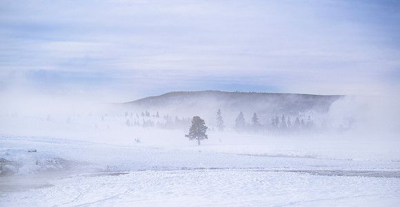 YELLOWSTONE IN WINTER