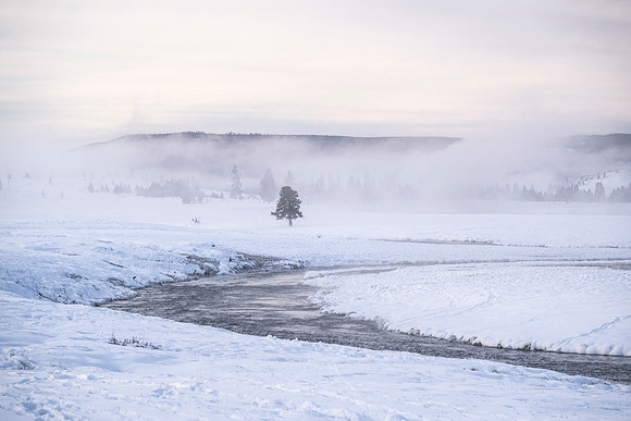 YELLOWSTONE IN WINTER