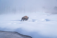 TITAN OF THE TUNDRA II