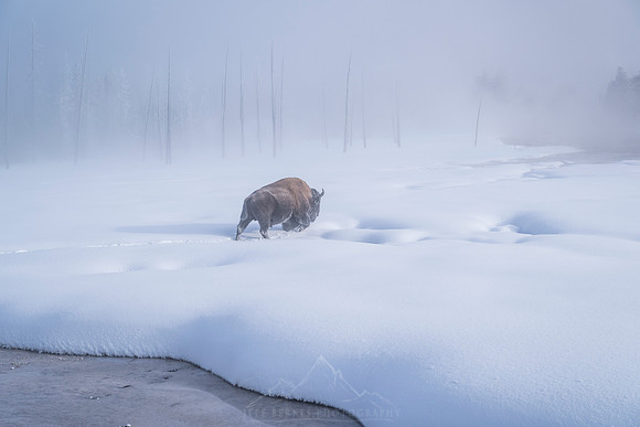 TITAN OF THE TUNDRA II
