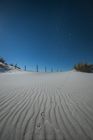 2022 GEMINIDS | ASSATEAGUE ISLAND