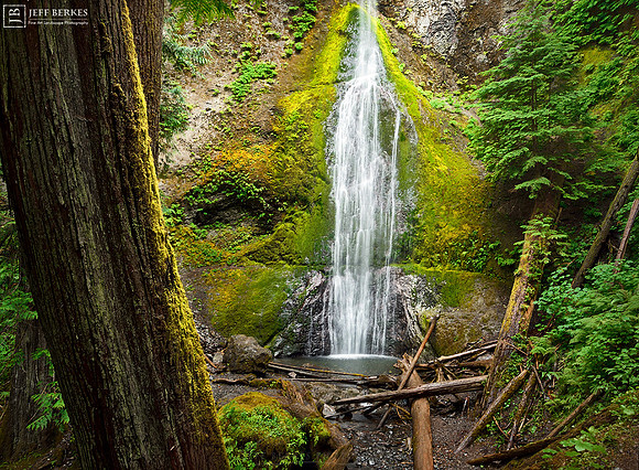 OLYMPIC NATIONAL PARK
