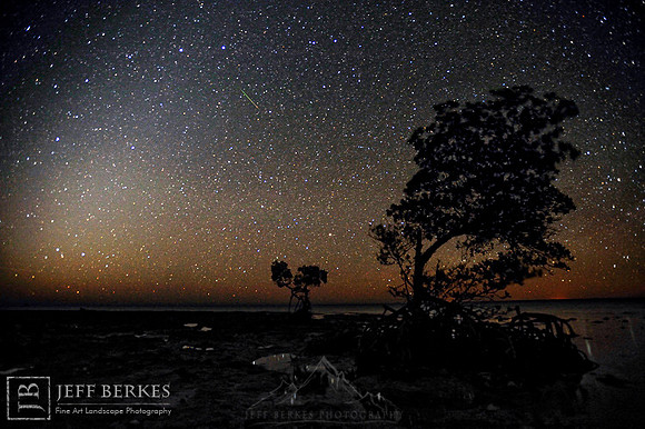MANGROVE METEORS
