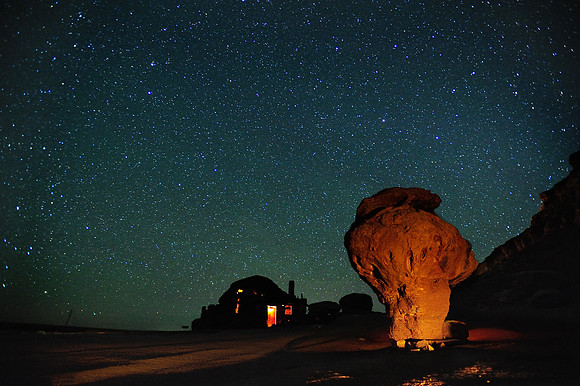 DESERT DWELLERS