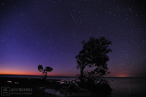 MANGROVES AND METEORS AT DAWN