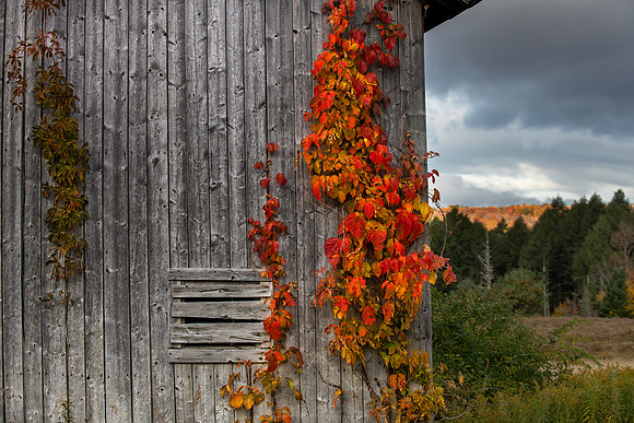 VERMONT 2022