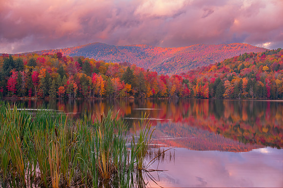VERMONT 2022
