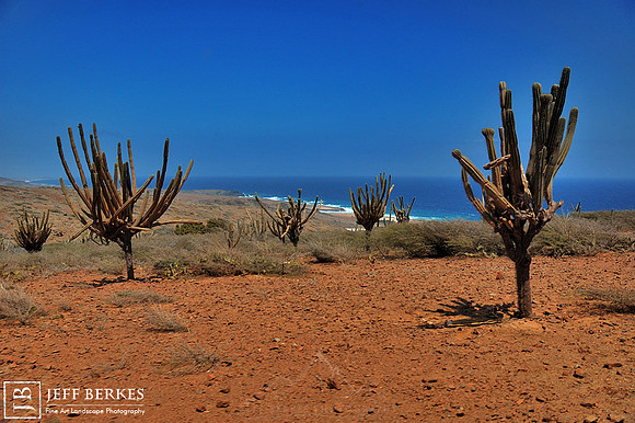 ARUBA