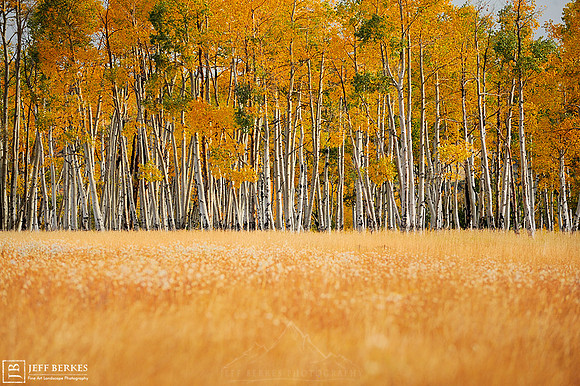 ASPENS