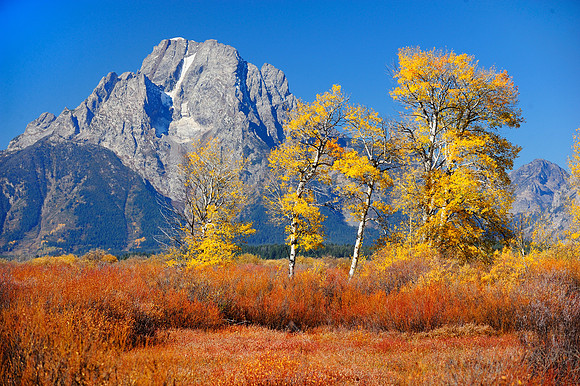 MOUNT MORAN AND ASPENS