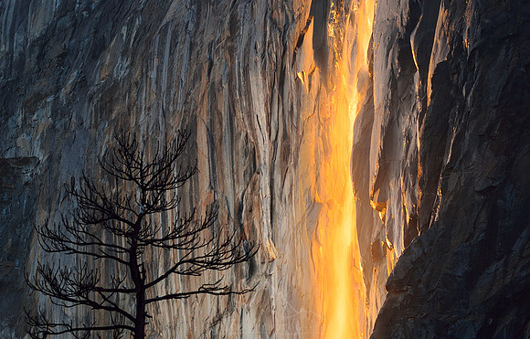 FIRE FALL AND TREE | YOSEMITE