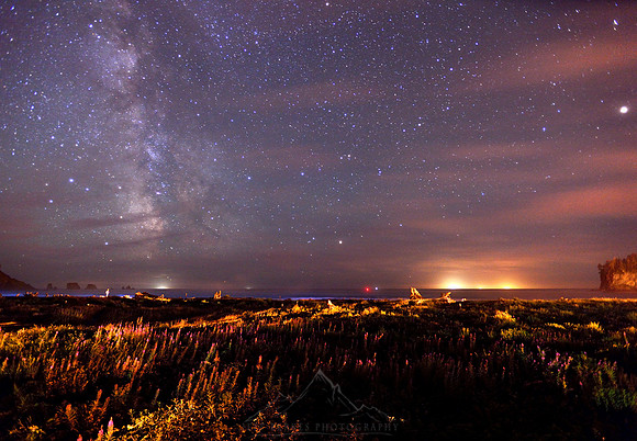 NORTHWESTERN NIGHTS | WASHINGTON STATE