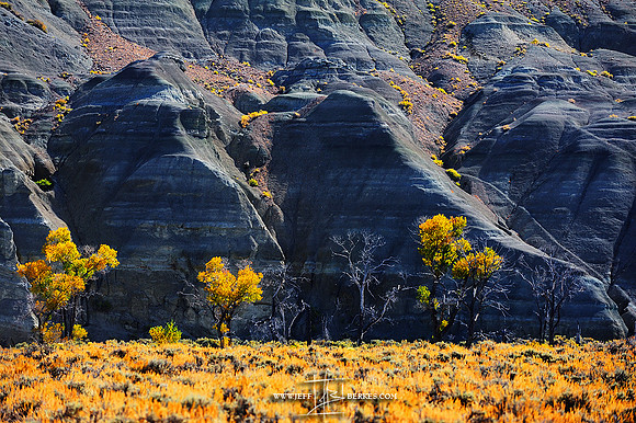 UTAH IN AUTUMN