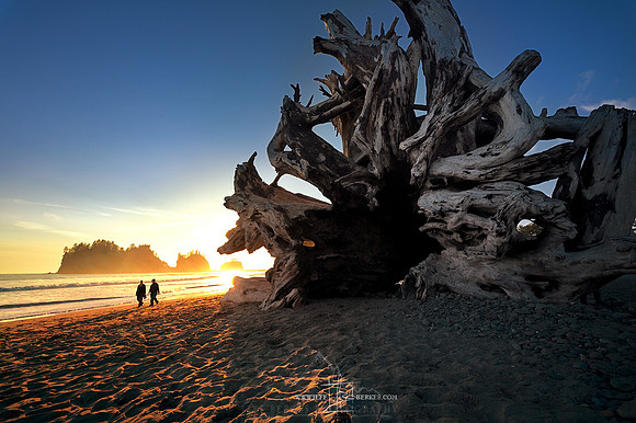 NORTHWESTERN WASHINGTON
