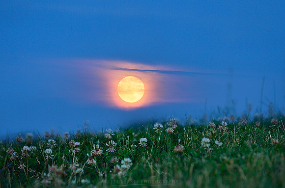 FULL SOLSTICE MOON JUNE 2016