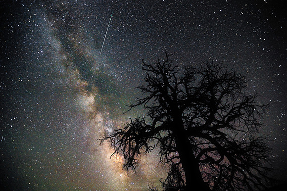 PERSEID METEOR OVER THE UTAH DESERT