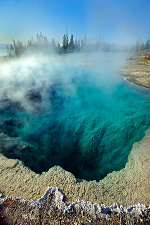 YELLOWSTONE MORNING GLORY