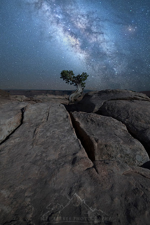 RESILIENCE - UTAH 2021