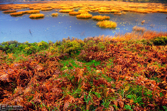 ACADIA NATIONAL PARK