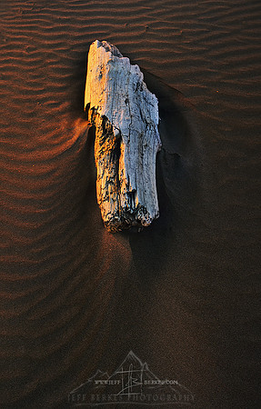 SUNSET DRIFTWOOD