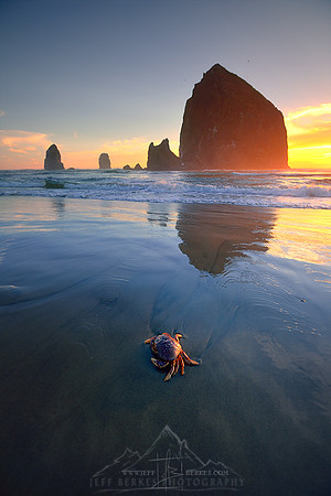 HAYSTACK AND CRAB REFLECTION