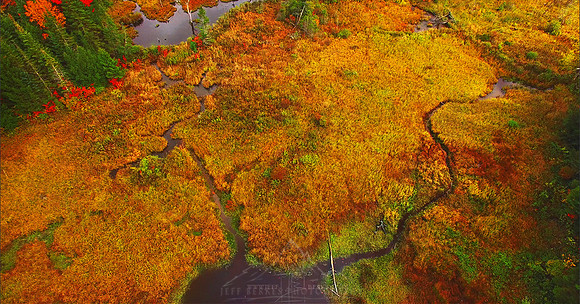 VERMONT IN AUTUMN
