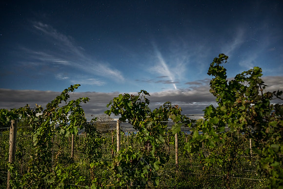 OCTOBER 2024 | Comet C/2023 A3 Tsuchinshan-ATLAS | FLX VINEYARD