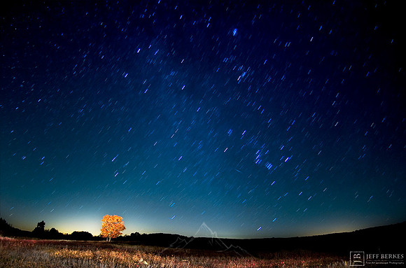MEADOW METEOR