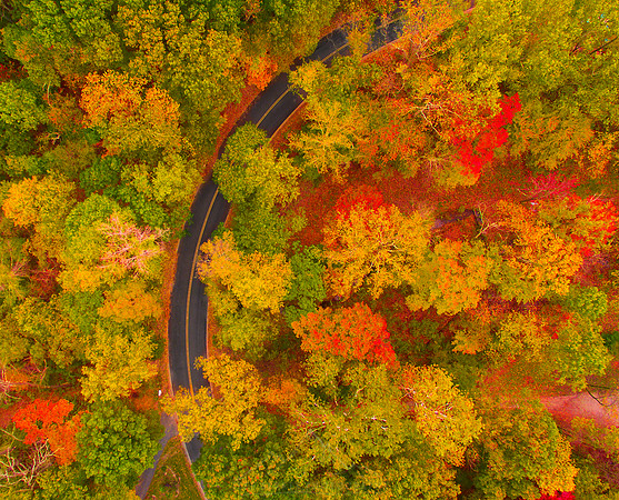 CHESTER COUNTY FALL ROAD