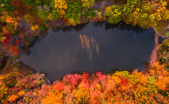 LINE POND