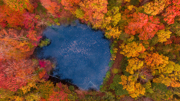 HIDDEN POND