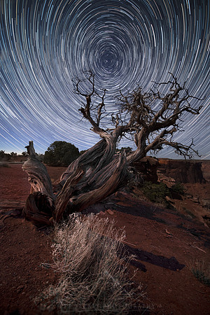 OLD JUNIPER STAR TRAIL