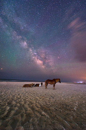 SADDLE UP MILKY WAY