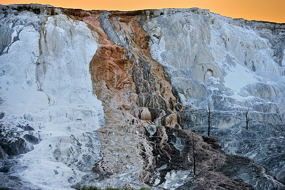 YELLOWSTONE | MAMMOTH