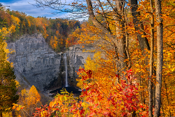 NEW YORK IN AUTUMN | OCTOBER 2022