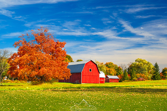 FINGER LAKES BARN | OCTOBER 2022