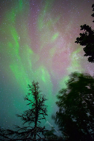 NORTHERN LIGHTS | MINNESOTA