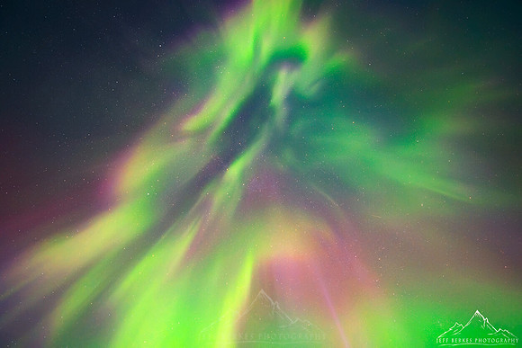 GUARDIAN ANGEL | MINNESOTA