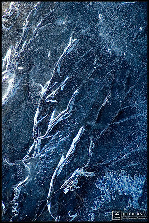 VEINS OF WINTER