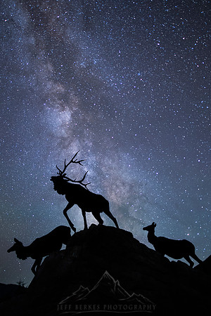 NATURE AND NIGHT