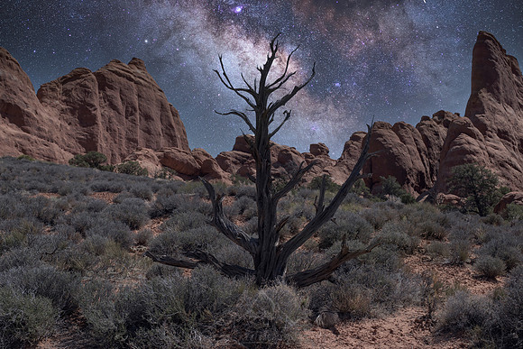 UTAH IS AMAZING