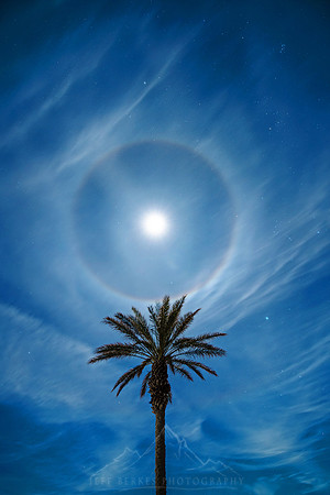 HALO ON FIRE