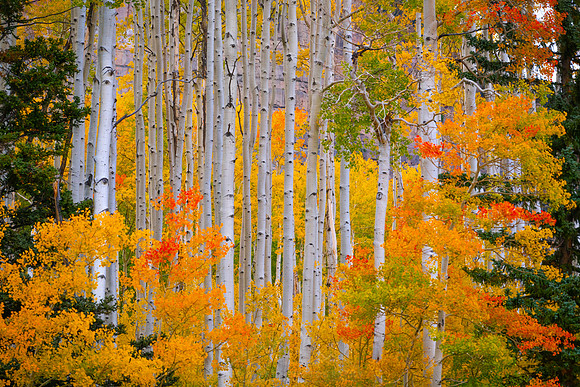 MILLION DOLLAR HIGHWAY | COLORADO 2023