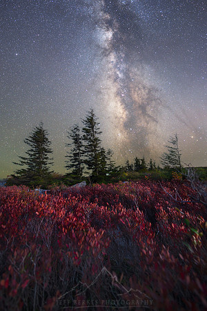 WEST VIRGINIA WILDERNESS