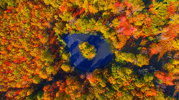 PENNSYLVANIA IN AUTUMN