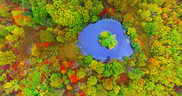 AERIAL AUTUMN ll