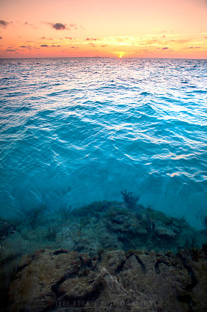 LOGGERHEAD SUNSET WATERS